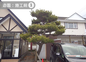 剪定・伐木・枝払